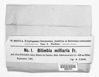 Image of Bilimbia milliaria